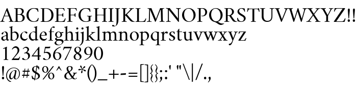Die Vorschau der Schrift Crimson Text Regular