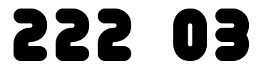 Schrift 222 03