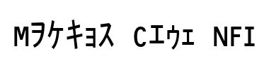 Schrift Matrix Code NFI