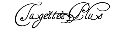 Schrift TagettesPlus